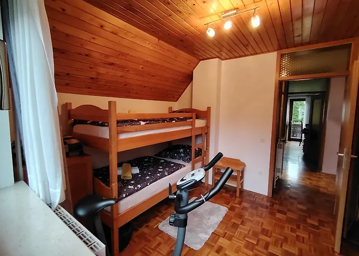 Fantastic Apartment Brglez