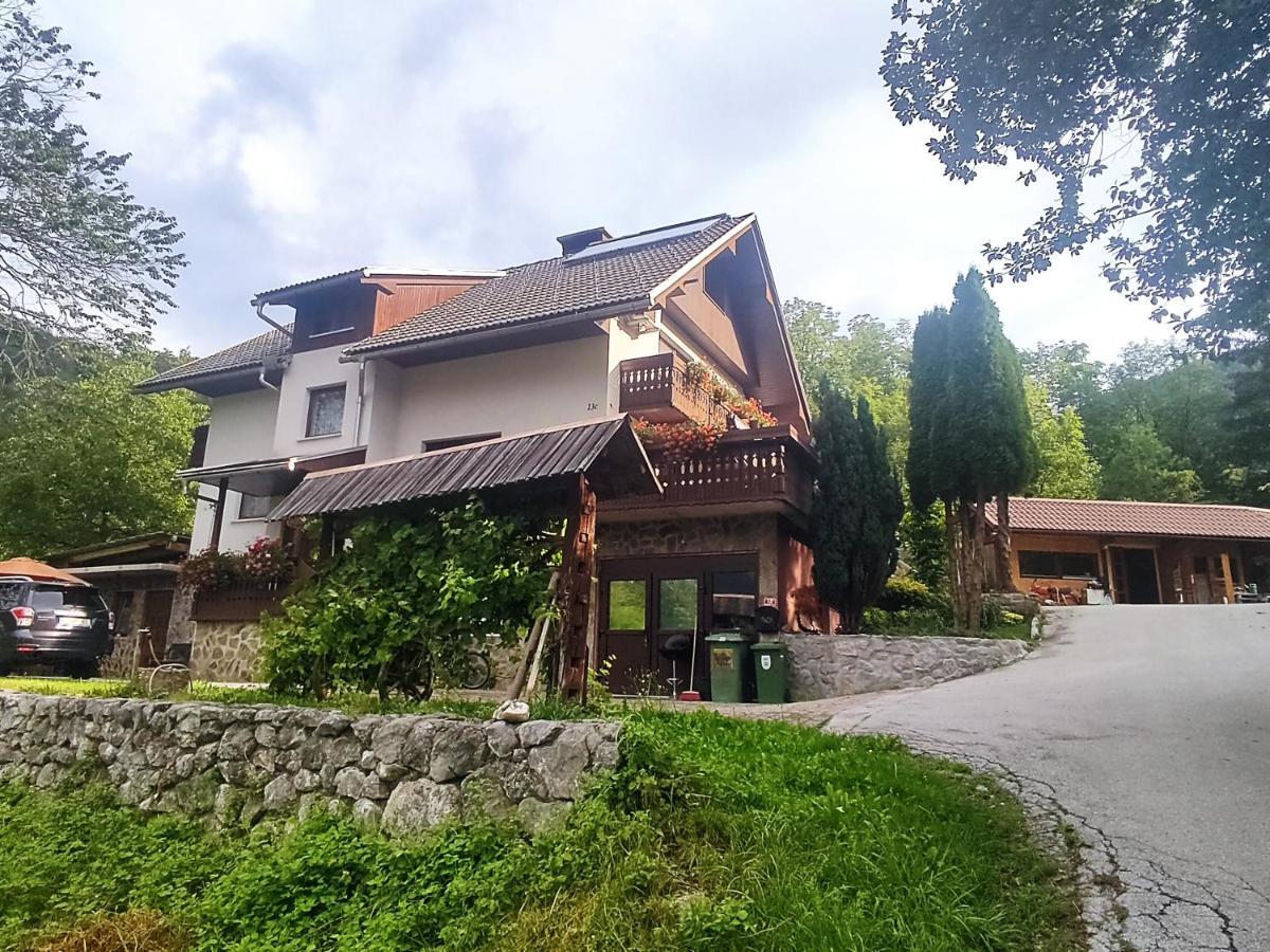 Fantastic Brglez * Bohinjska Bela