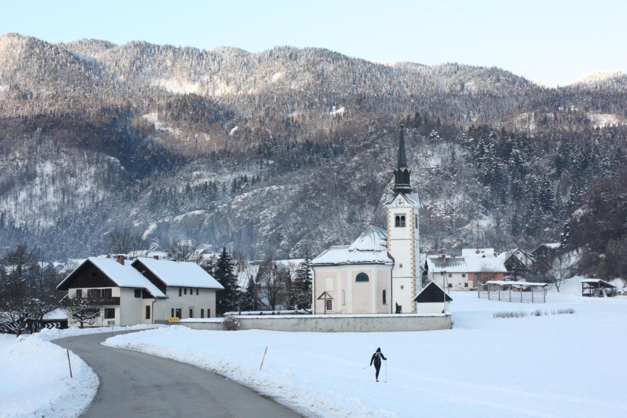 Fantastic Brglez * Bohinjska Bela