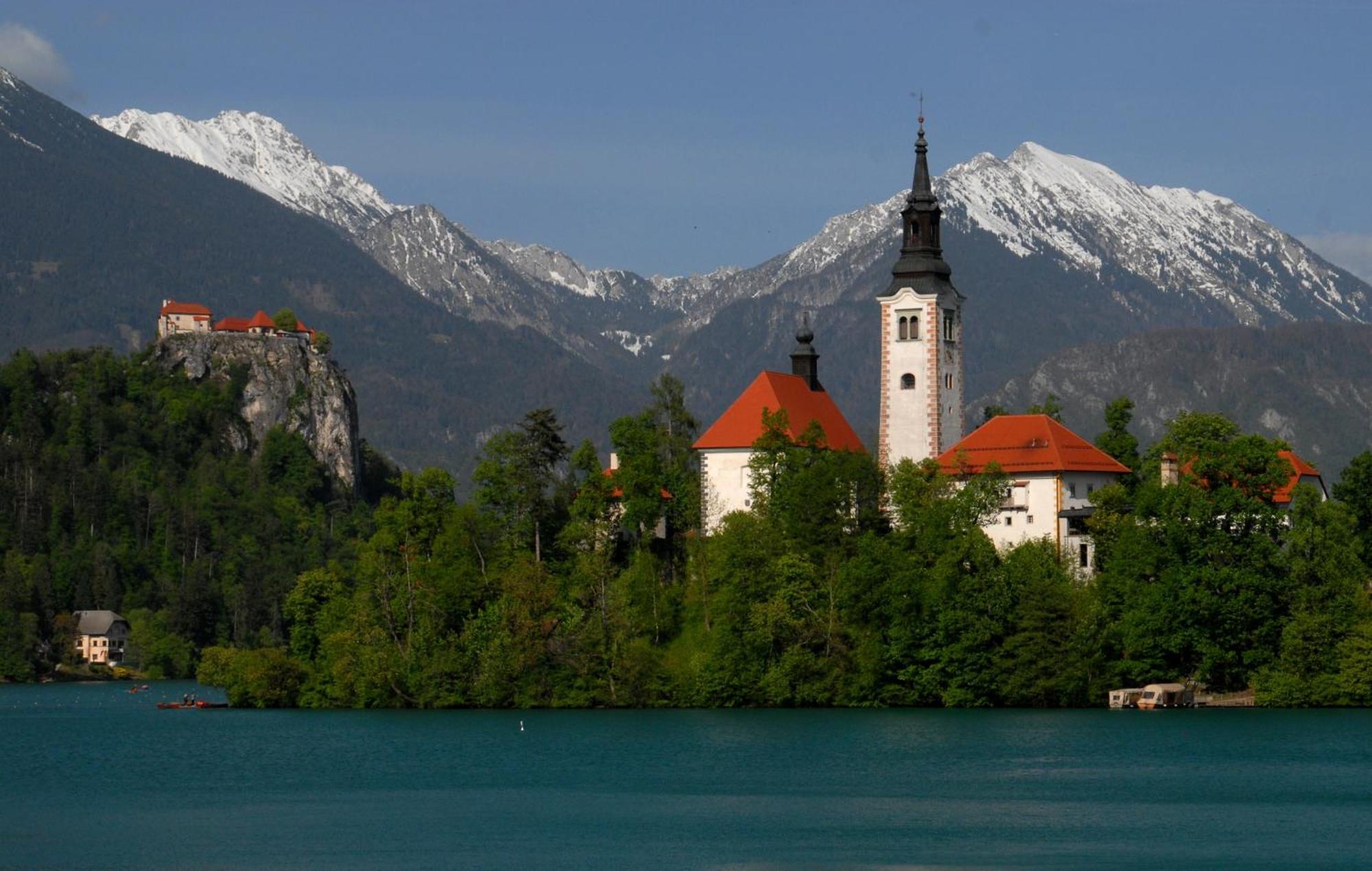 Fantastic Brglez Bohinjska Bela