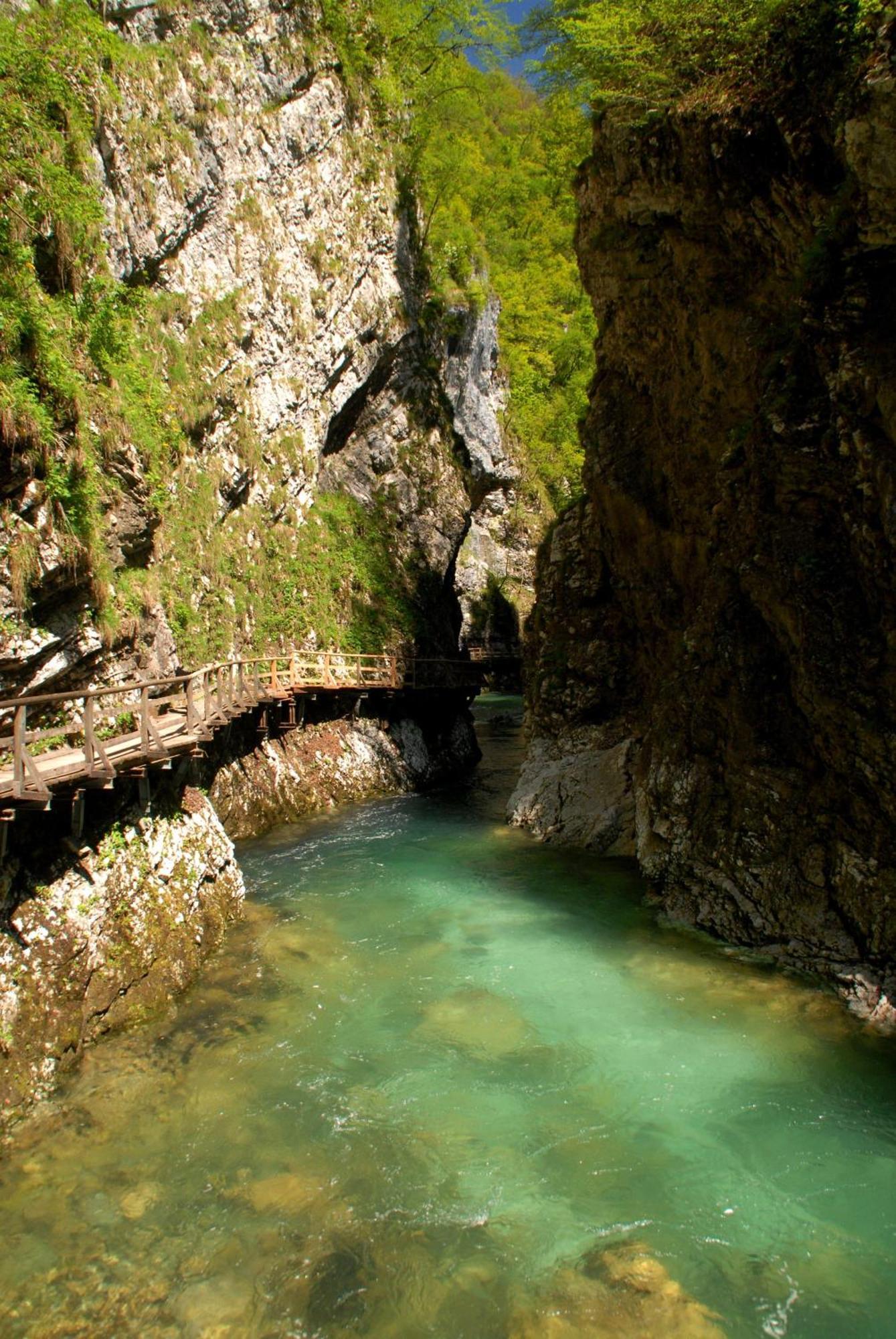 Fantastic Brglez Bohinjska Bela