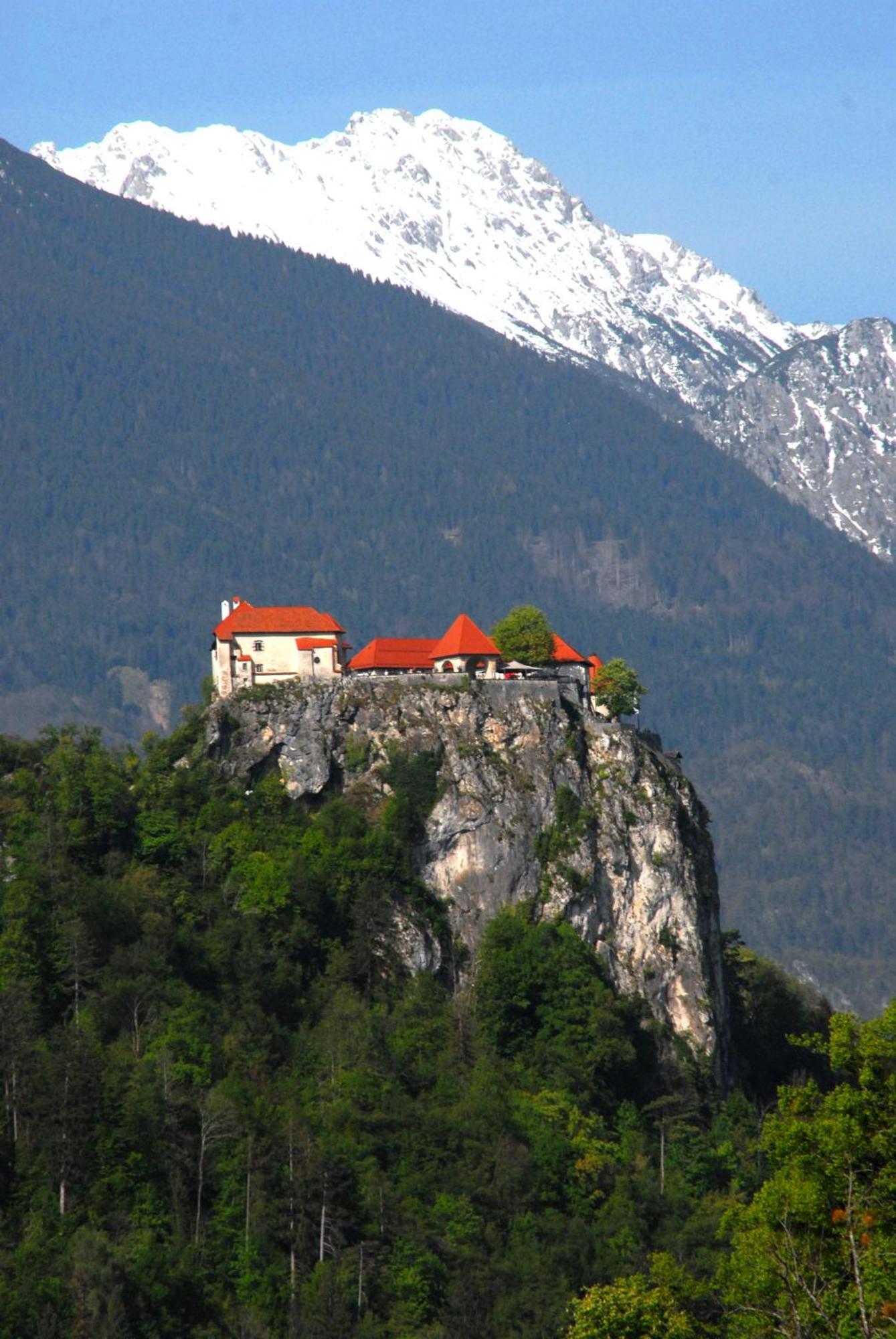 Fantastic Brglez * Bohinjska Bela